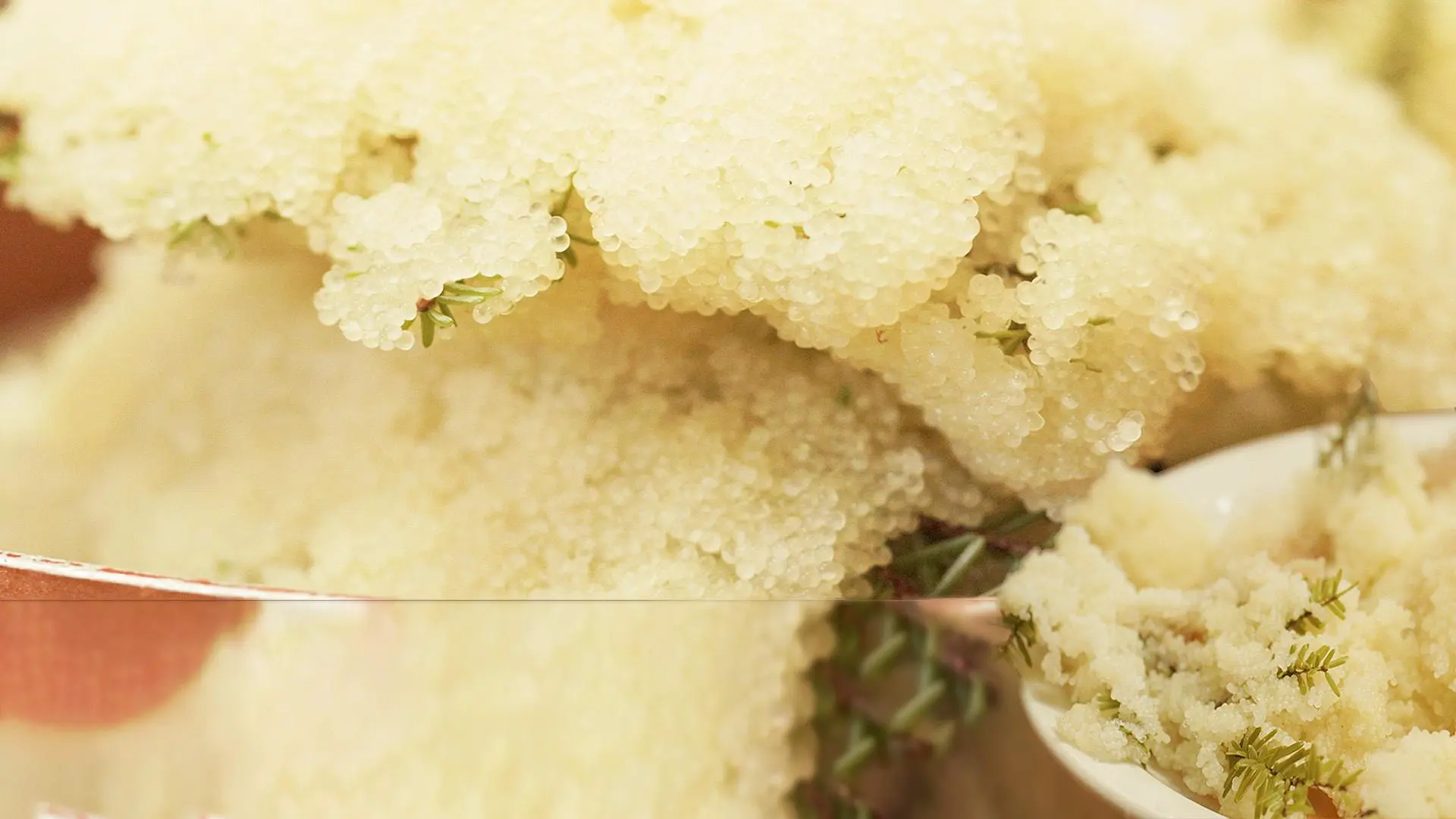 Spirit Plate — photo 5