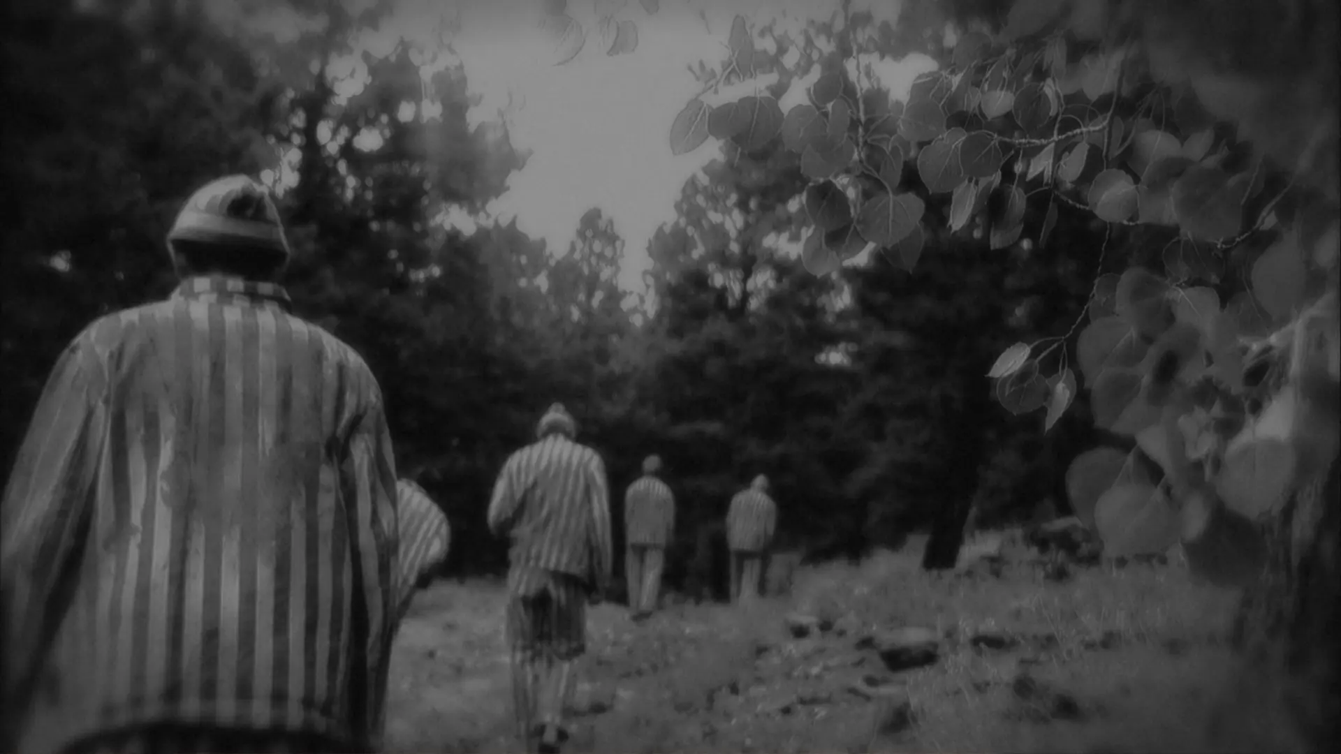 Berga: Hitler's GI Death Camp — photo 11