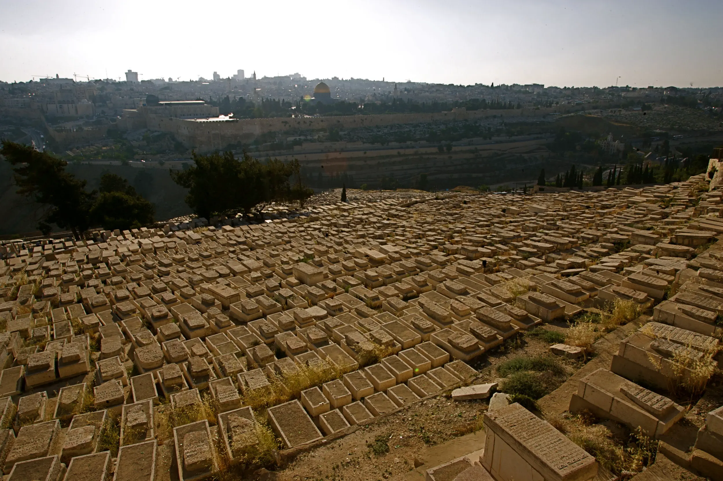 The First Jesus — photo 1