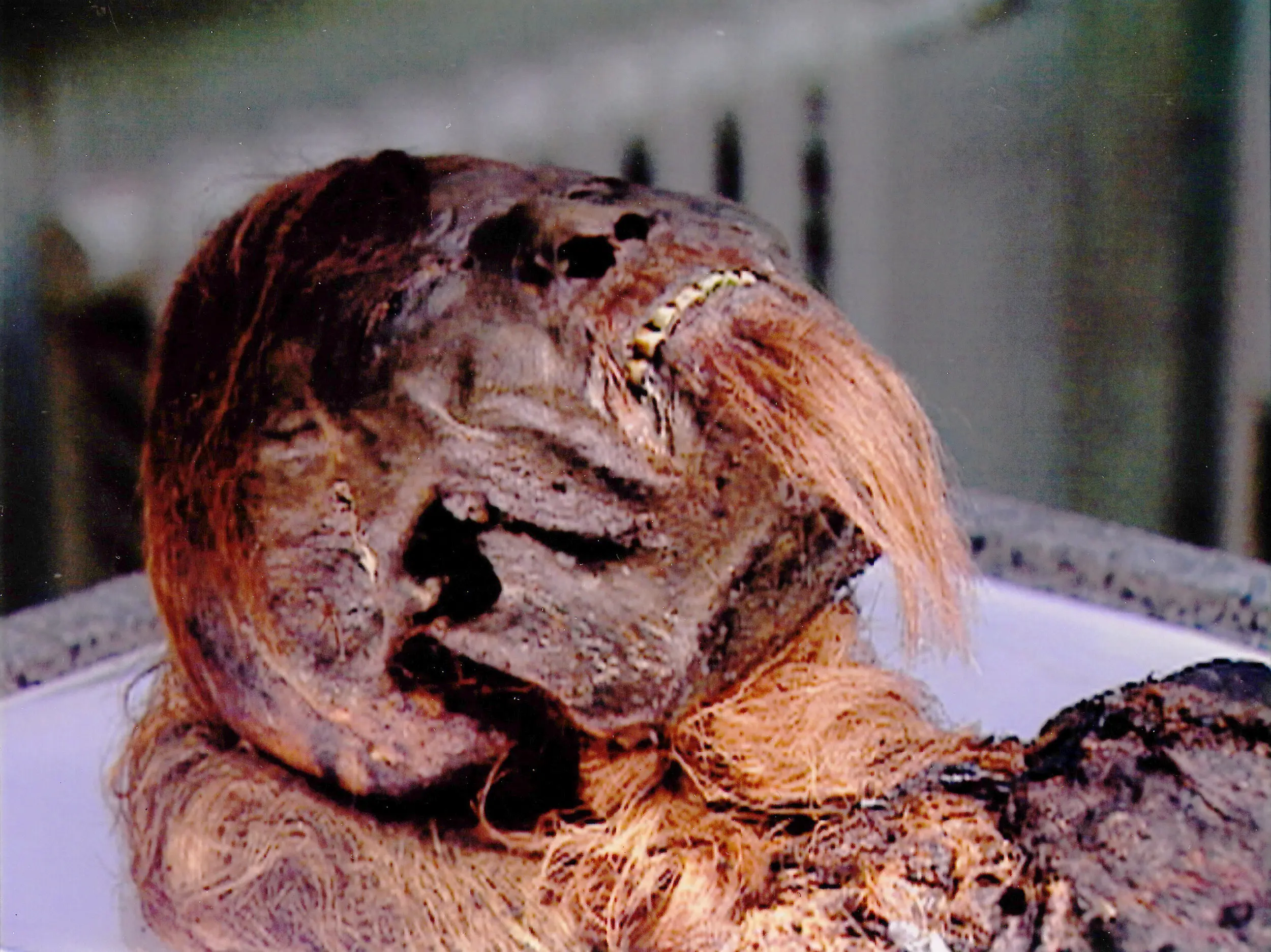 Riddles of the Dead: Series — photo 1