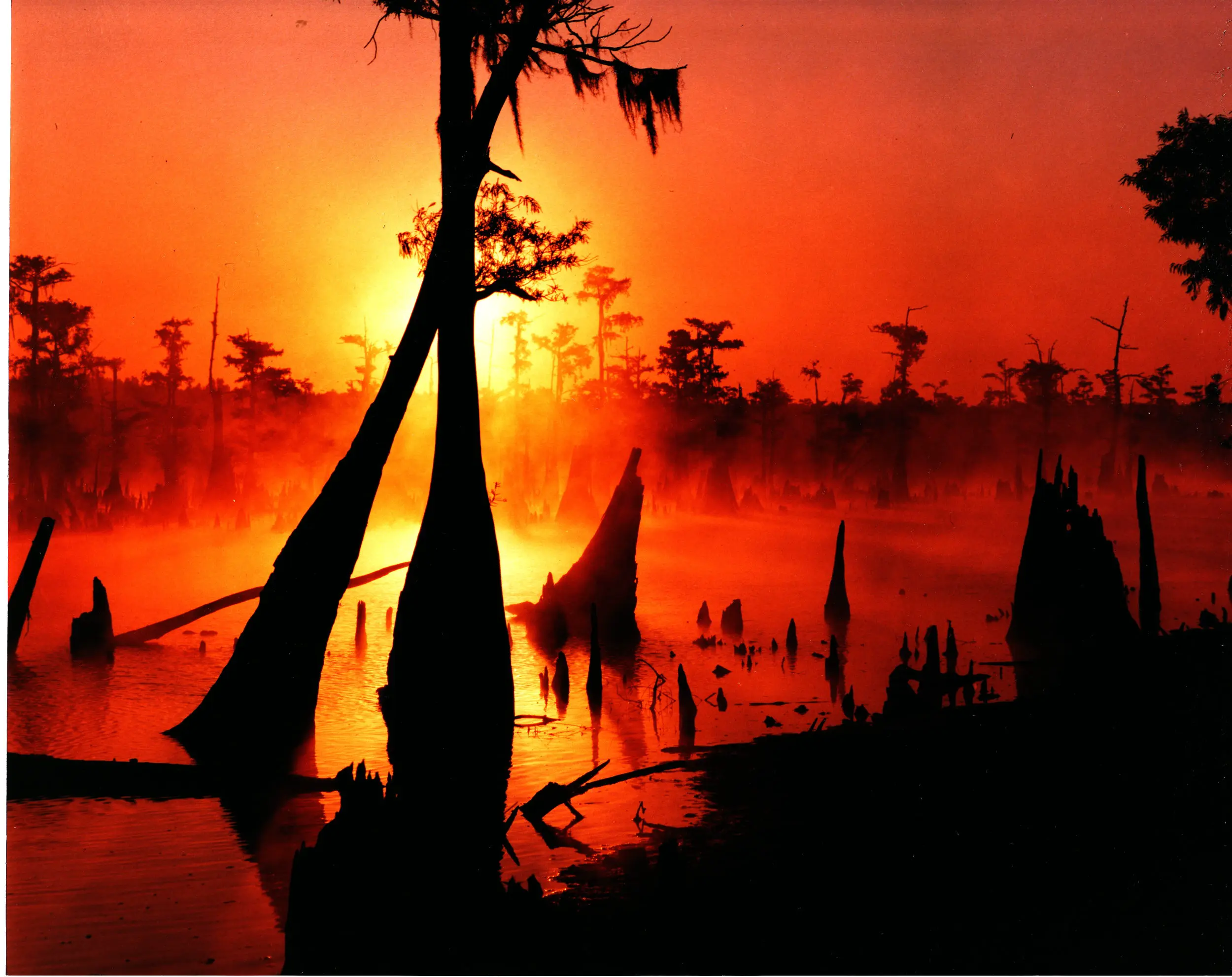 Wrestling the Mississippi