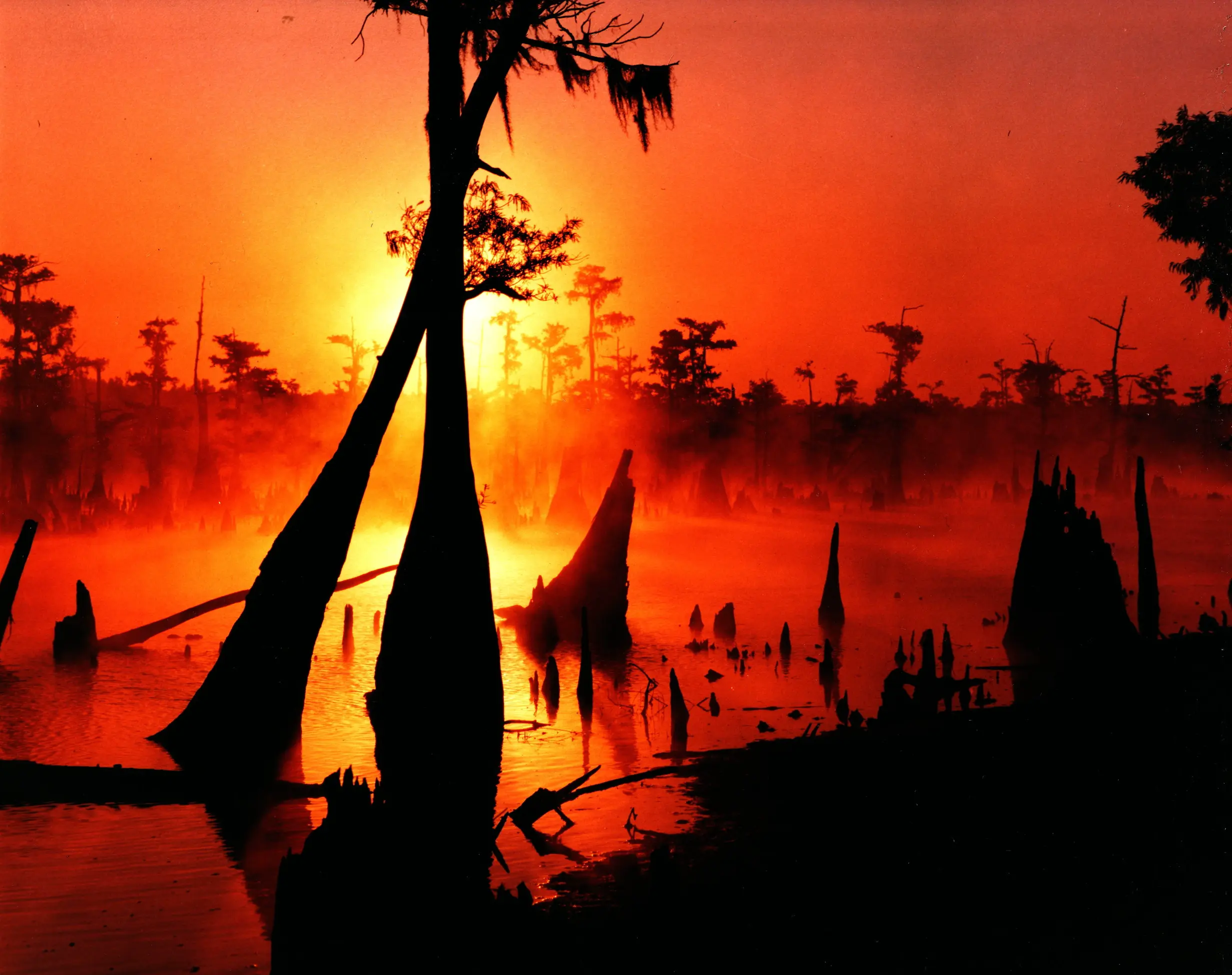 Wrestling the Mississippi — photo 1